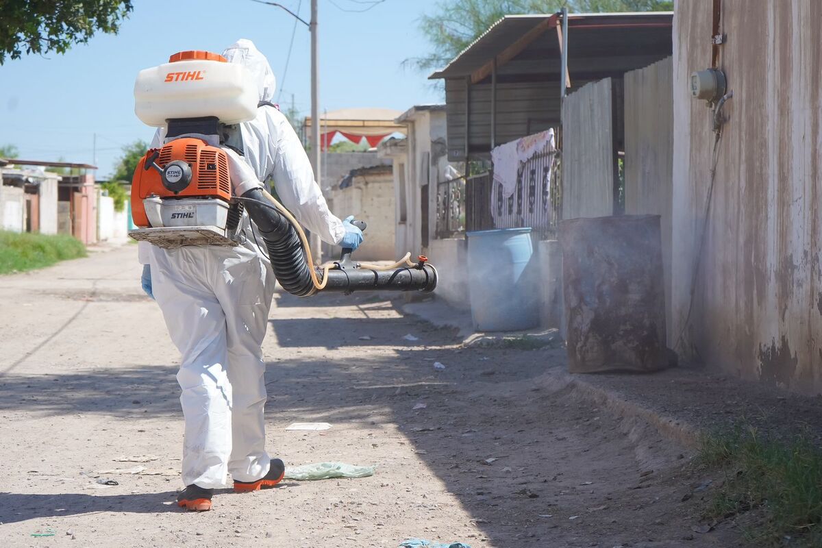 Fumigan 50 colonias en Gómez Palacio para prevenir dengue.