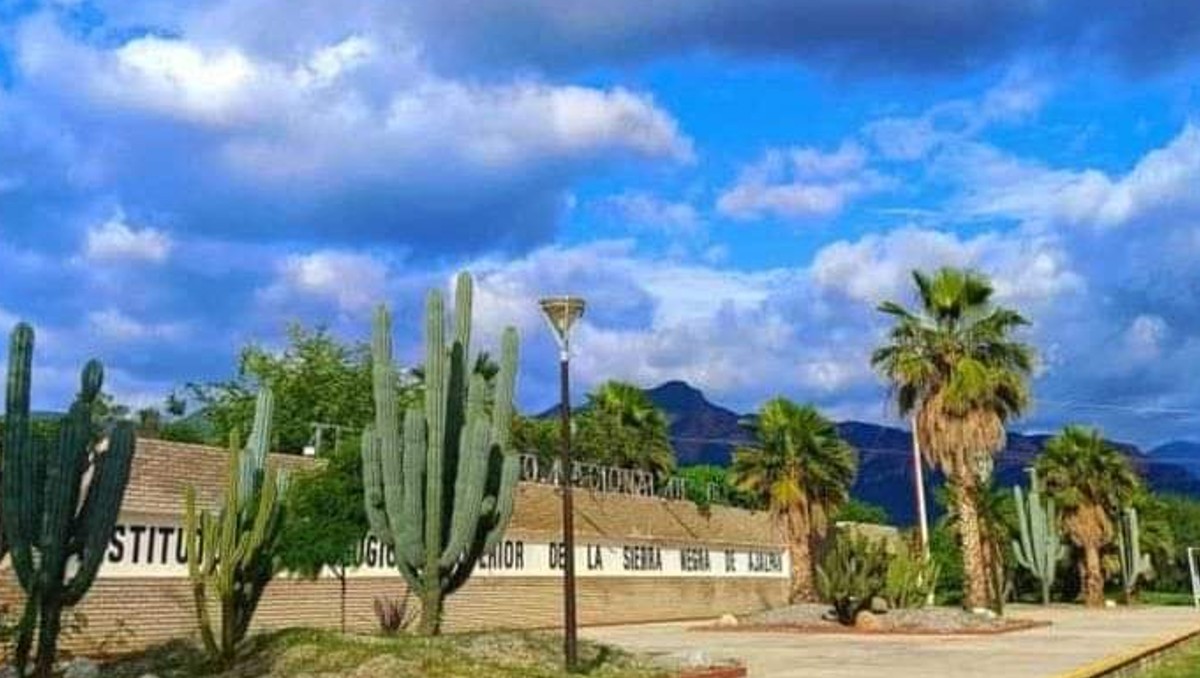 Denuncian desaparición de perritos en el Tecnológico de Ajalpan |  Especial