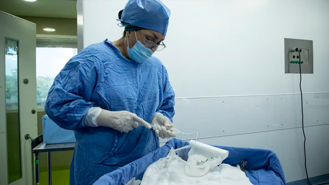 IMSS coloca 10 prótesis como parte de la Primera Jornada Nacional de Reconstrucción Mamaria