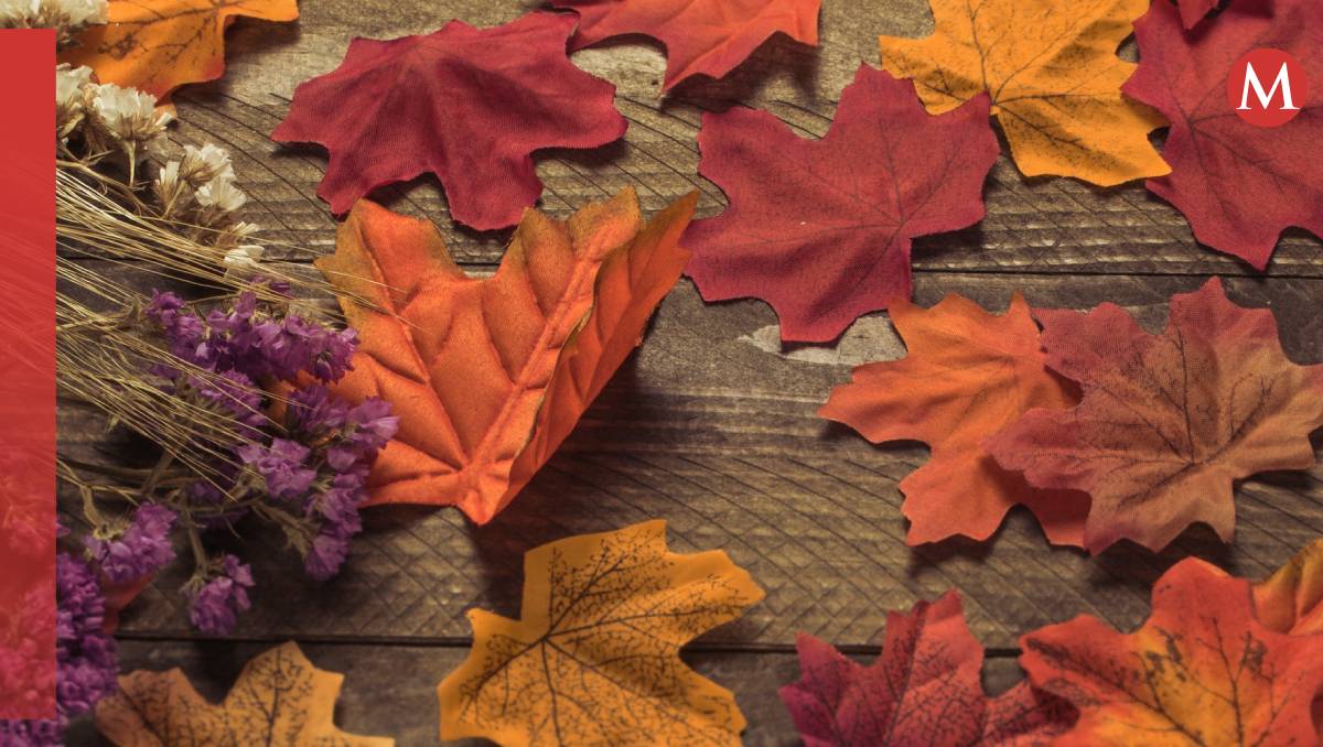 El otoño es un evento que tiene relevancia para la astrología y los signos del zodiaco | Freepik