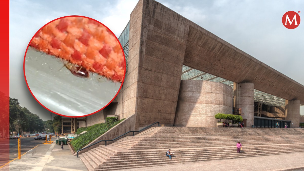 Captan chinches en el Auditorio Nacional y se vuelve viral en TikTok