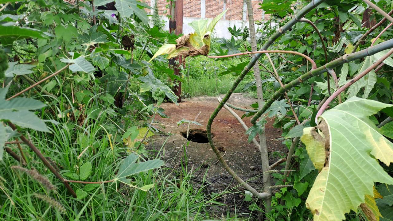 Localizan una docena de cadáveres en fosa clandestina en León, Guanajuato