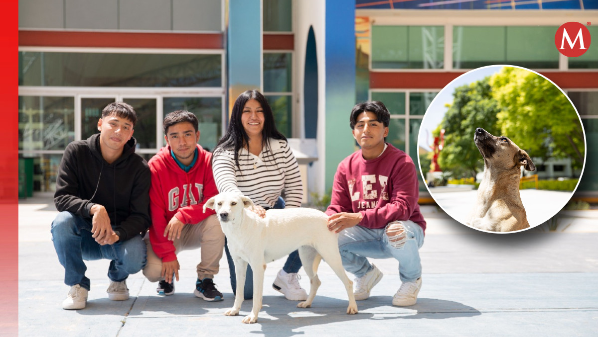 UTT Puebla tiene Villa Peruna, un hogar para perritos callejeros | Yanahui Flores