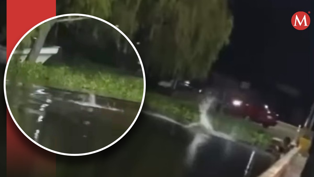 Hombre ingresa a nadar en laguna del Champayán en Altamira. (Redes sociales)