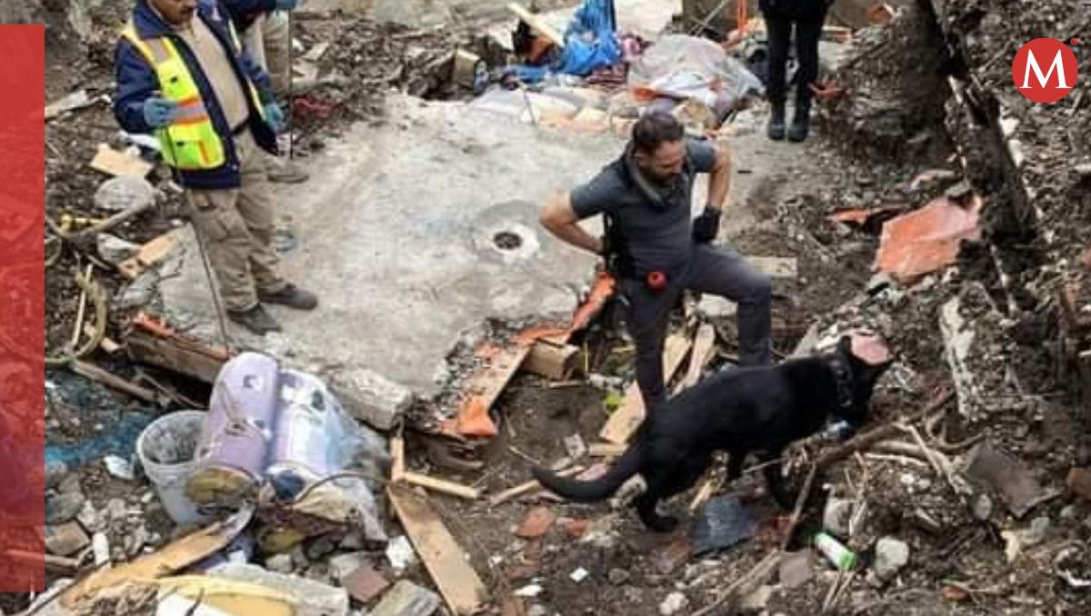 Personal de Protección Civil Municipal con apoyo de binomios caninos, realizaron una nueva búsqueda en el lugar . Especial