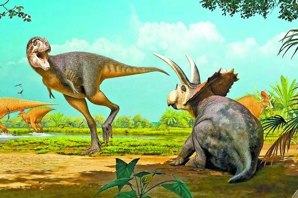 Representación artística de la especie Labocania aguillonae, el tipo de tiranosaurio hallado en Coahuila Rivera-Sylva y Longrich, Fossil Studies 2024