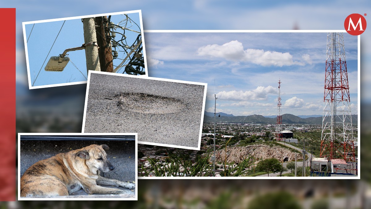 Alumbrado, perros callejeros y baches, lo que más aqueja a gomezpalatinos. | Rolando Riestra