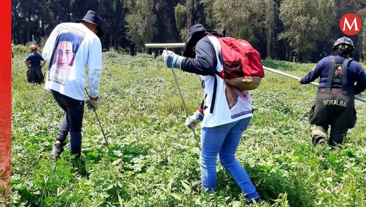 Denuncian inacción del gobierno de Veracruz en búsqueda de desaparecidos | Especial