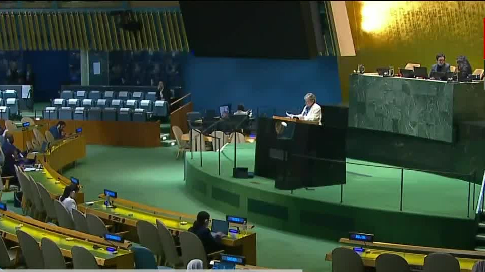"Consejo de seguridad de la ONU necesita reforma urgente": Alicia Bárcena