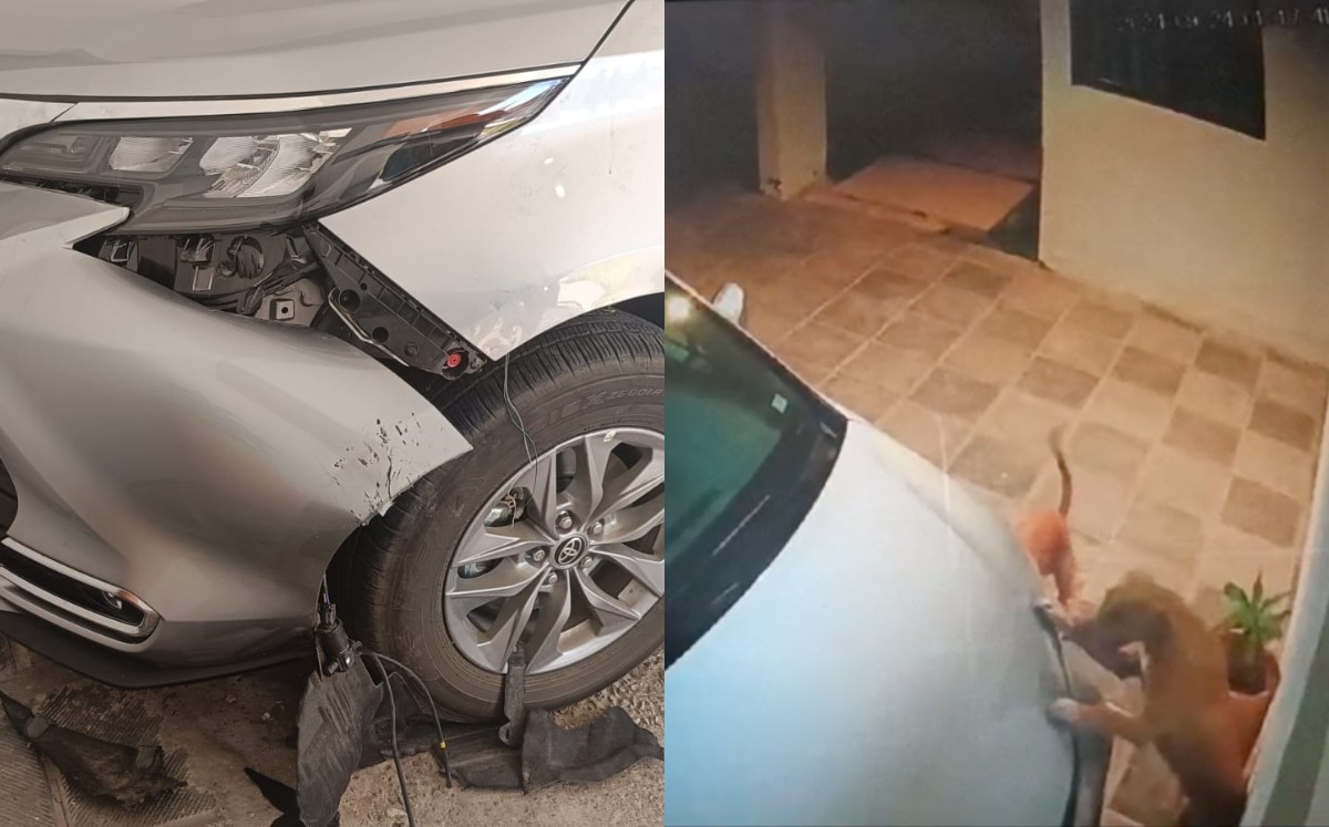 La camioneta tuvo que ser trasladada con grúa al taller. l Especial