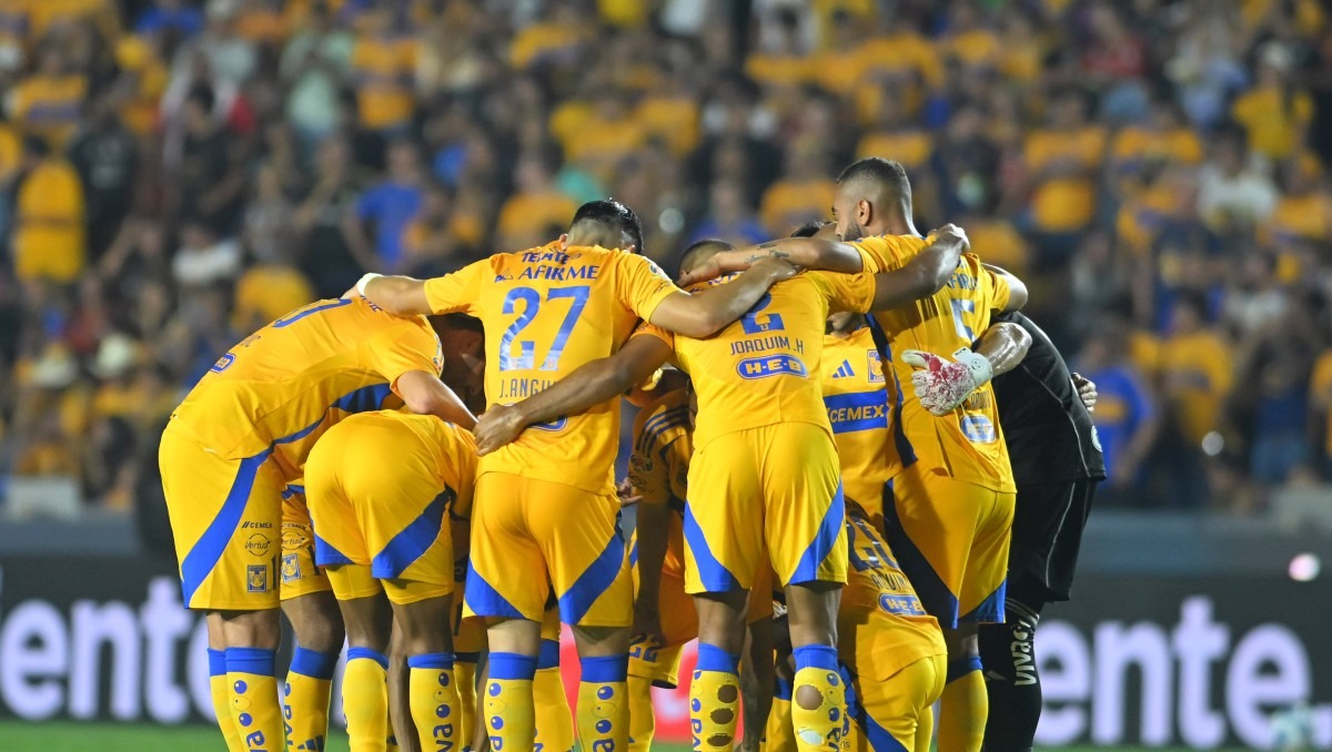 Club Tigres lanza nuevo instagram de su Fundación Felina (Imago7)