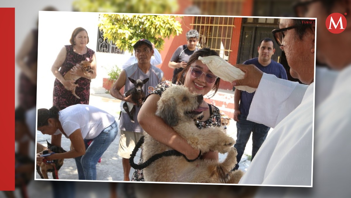 Bendición de mascotas en Tampico por el Día de San Francisco de Asís.