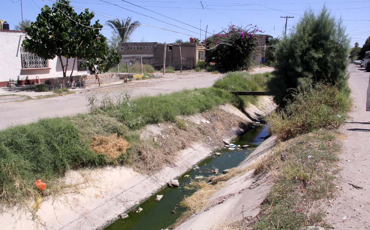 Ejidatarios viven entre brotes de drenaje y riesgo de dengue. l Manuel Guadarrama