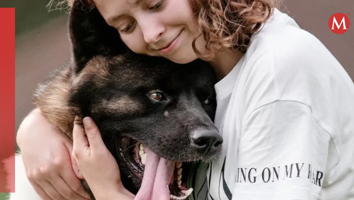 Los humanos hablan más despacio con los perros para mejorar la comprensión