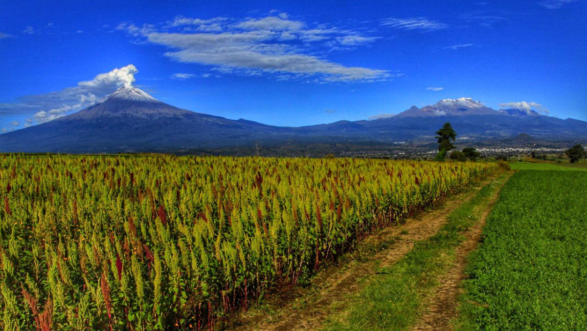 Volcán Popocatépetl | Andrés Lobato