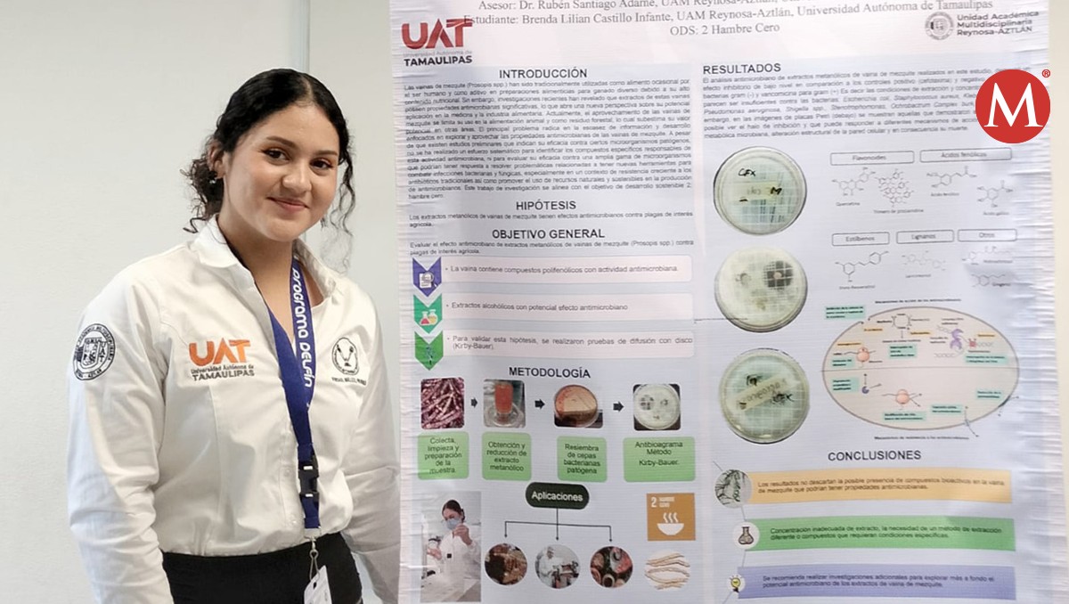 Brenda Lilian Castillo Infante estudiante de la UAT investiga potencial antimicrobiano de vaina del mezquite