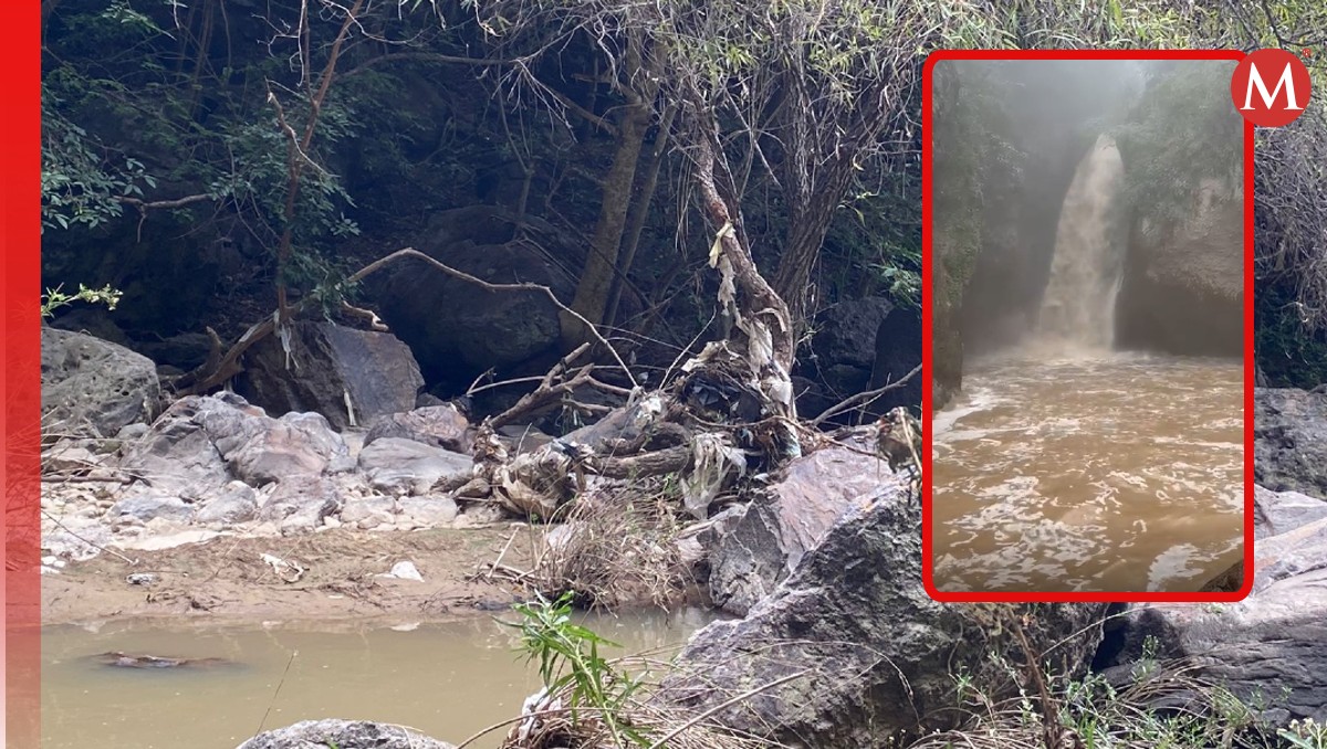 Contaminación en el río Milpillas provoca la muerte de cultivos y animales. (Gloria Reza)