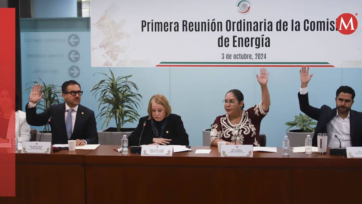 La Comisión de Energía ratificó el nombramiento este jueves (Senado)