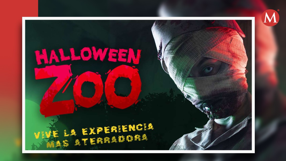 Halloween Zoo trae para su edición 2024 nuevos recorridos de terror, te contamos los detalles.