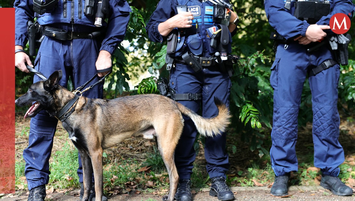 La policía de Francia investiga el caso. | AFP