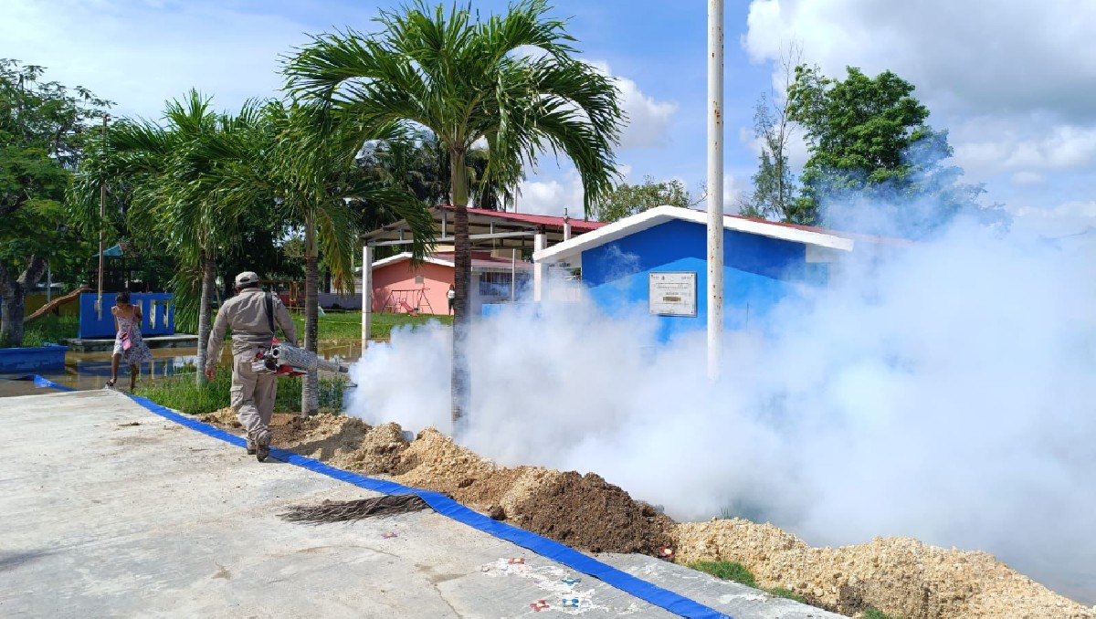 Personal de salud trabaja en la estrategia de combate contra el dengue, permitiendo bajar los casos de contagio. | Especial