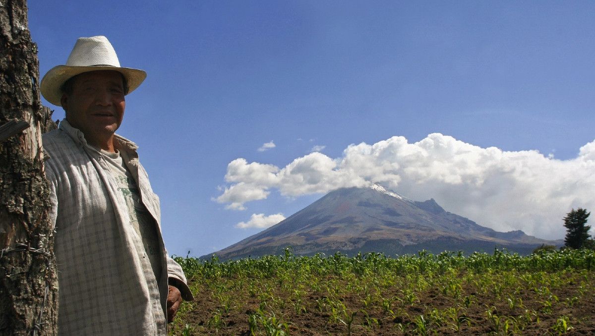Campesino cuida su milpa en las faldas del volcán Popocatépetl en San Mateo Ozoclo, Puebla | Andrés Lobato