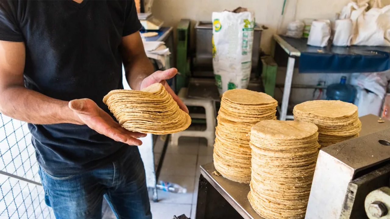 Cofece señala a Gruma por participación dominante en el mercado de harina de maíz en México