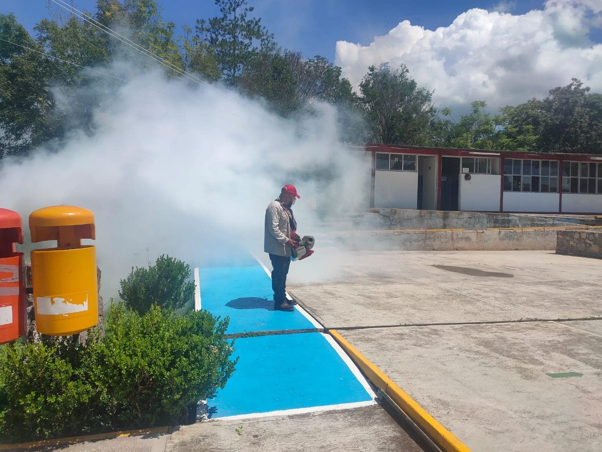 Intensifican acciones de fumigación en Hidalgo por aumento en casos de dengue