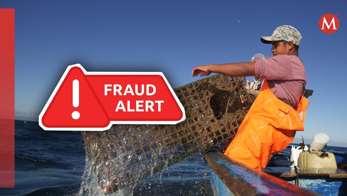 Alertan por fraude del supuesto programa "Sembrando vidas en el mar"