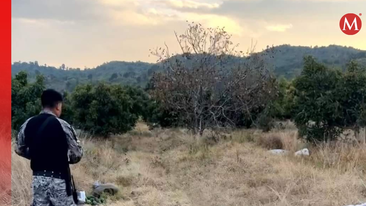 Golpean a tres presuntos ladrones de aguacate en Nealtican, Puebla | Especial