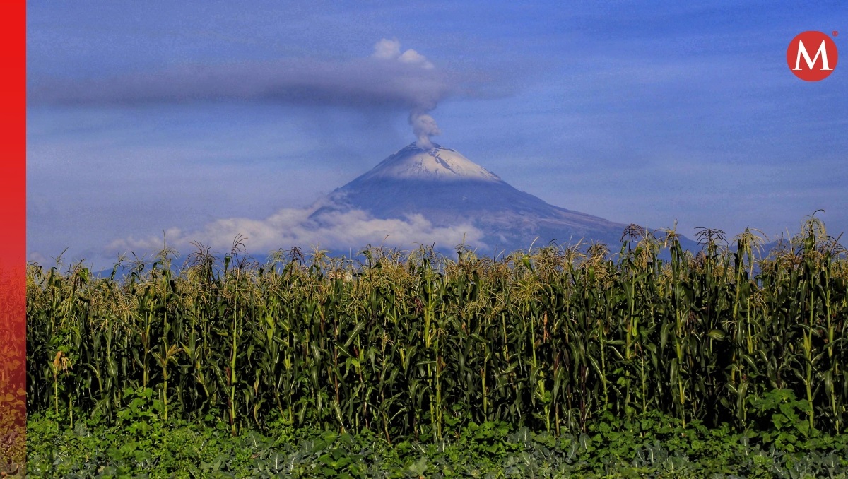 Popocatépetl HOY: Actividad registrada 9 de octubre de 2024 | EN VIVO | Andrés Lobato