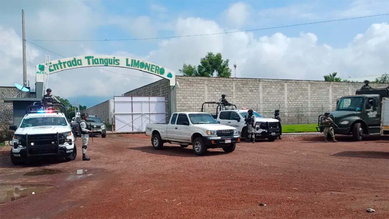 Despliegan 660 soldados para asegurar la industria limonera en Michoacán