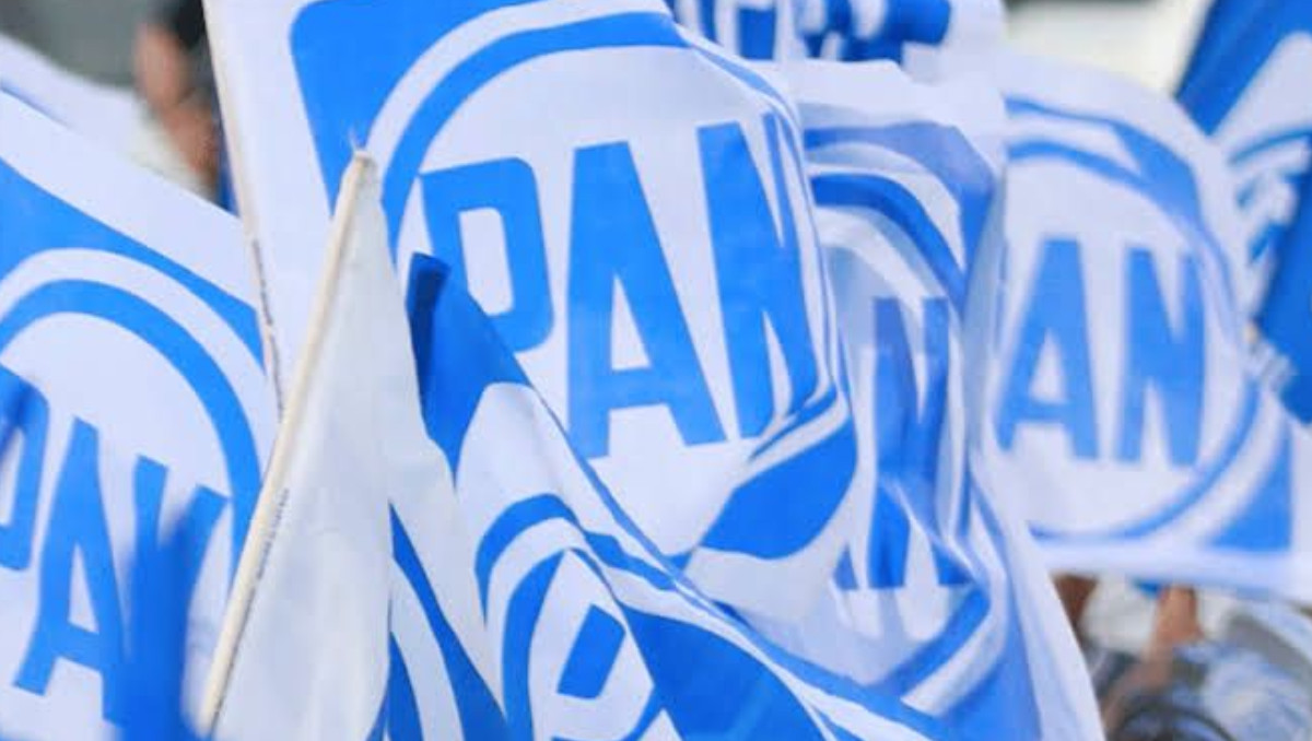 Partido Acción Nacional (PAN) | Especial