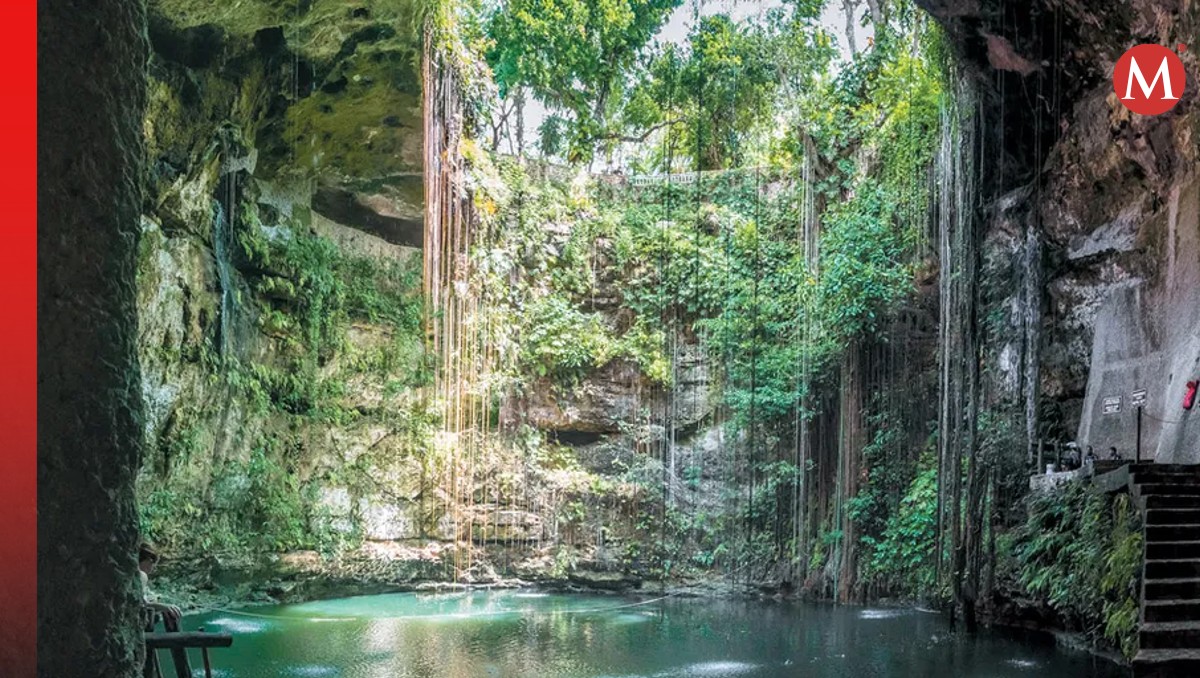 Piden declarar la Península de Yucatán como zona de emergencia ante crisis ambiental | Foto: Carlos Tomasini