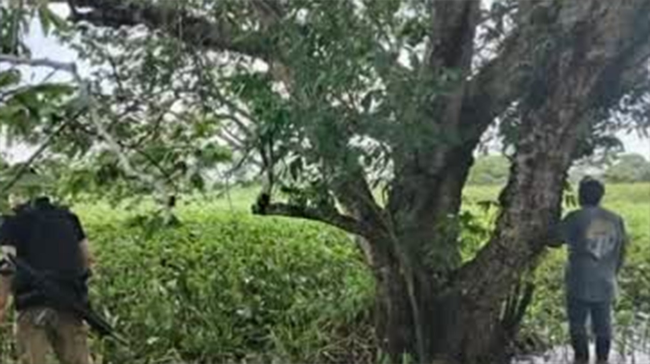 Localizan a menor desaparecido en Campeche