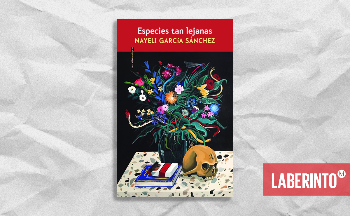 Portada de ‘Especies tan lejanas’, de Nayeli García Sánchez. (Sexto Piso)