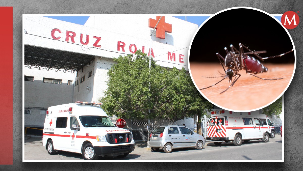 Una de las pruebas más solicitadas en los últimos meses en la Cruz Roja de Torreón es la del dengue. | Especial