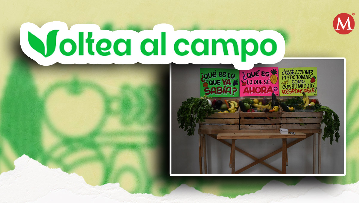 Campaña de Fundación Avina denuncia irregularidades en las condiciones laborales de trabajadores agrícolas migrantes. | Diseño: Samantha Martz