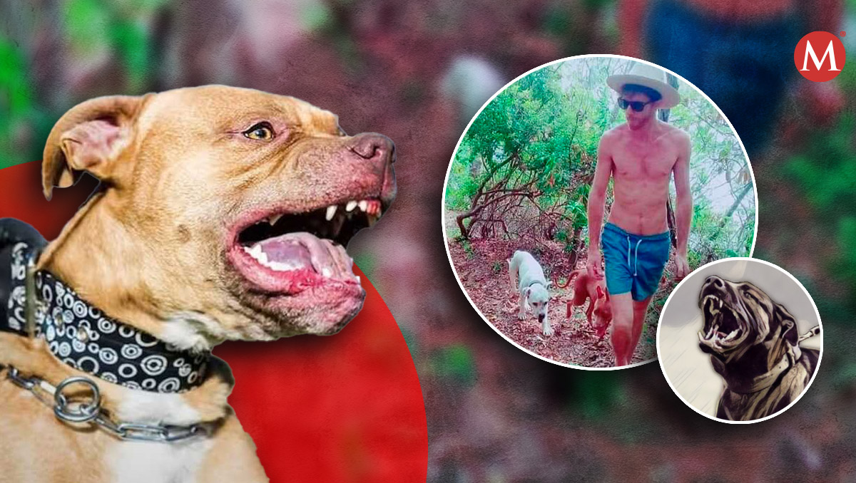 Durante los últimos 20 meses han muerte cuatro personas por ataques de perros.