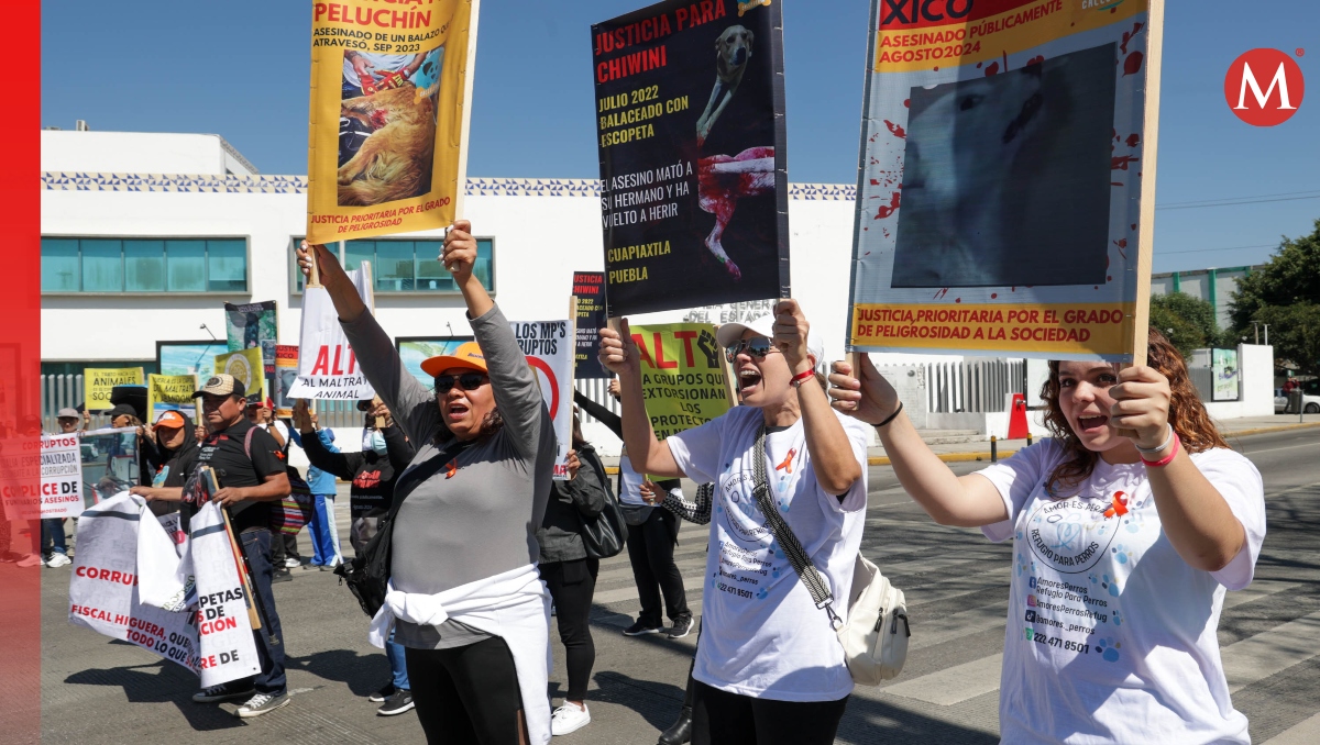 Maltrato animal en Puebla: activistas protestan y exigen justicia | EsImagen