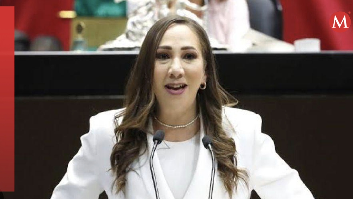 La coordinadora del PAN en la Cámara de Diputados, Noemí Luna. | Especial