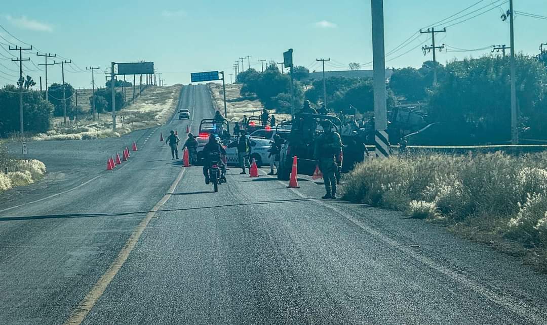 El hallazgo ocurrió sobre la carretera