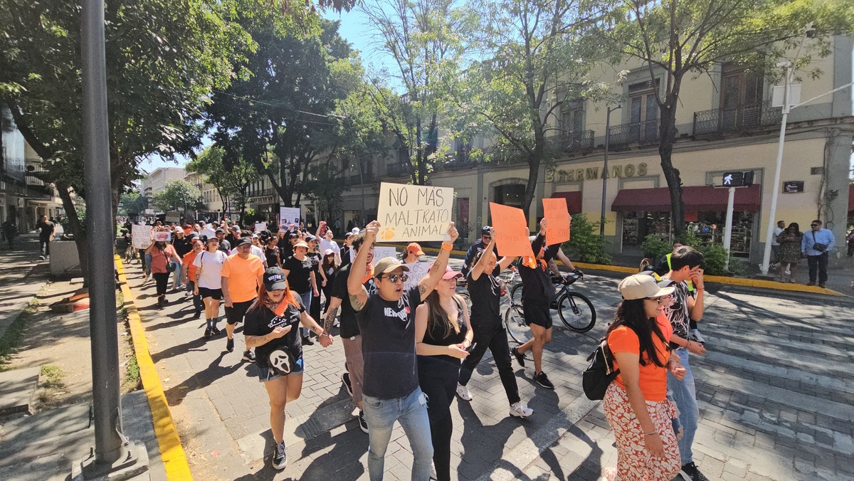 Se llevó a cabo manifestación en contra del maltrato animal en el centro histórico de Guadalajara. (Juan Munguía)
