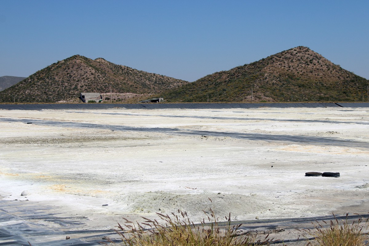 Algunos parajes del río Nazas lucen yertos, sin agua, sin vegetación y con animales muertos. | Rolando Riestra