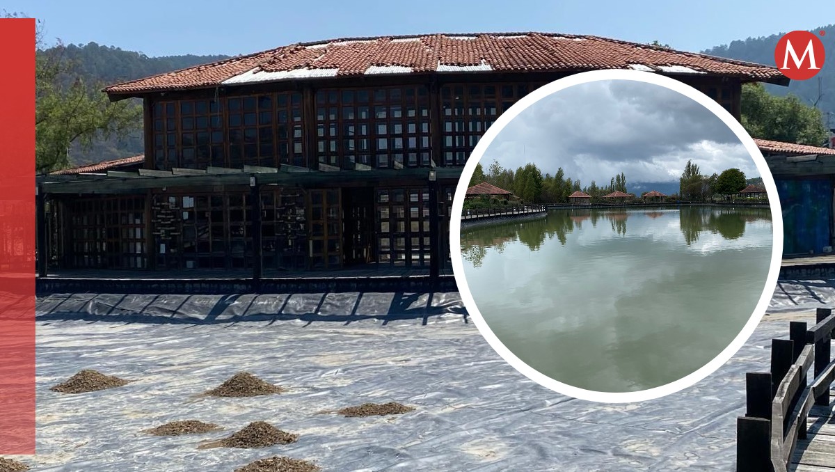 Acusan ecocidio en Parque de los humedales, Chiapas | Foto: Especial