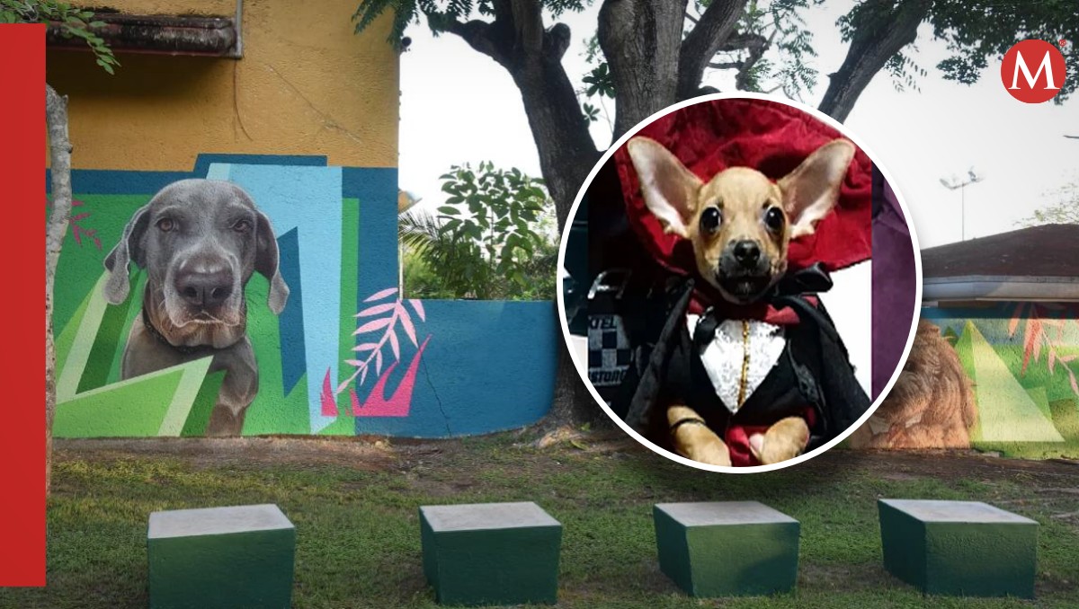 El desfile de mascotas tendrá lugar en el Parque de Chairel en Tampico