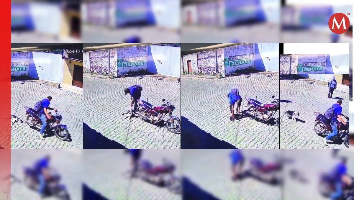 El maltrato hacia el perrito quedó registrado en video. (Especial)