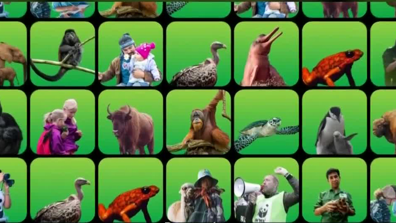 Poblaciones de fauna silvestre han disminuido un 73% en los últimos 50 años | Milenio Hábitat