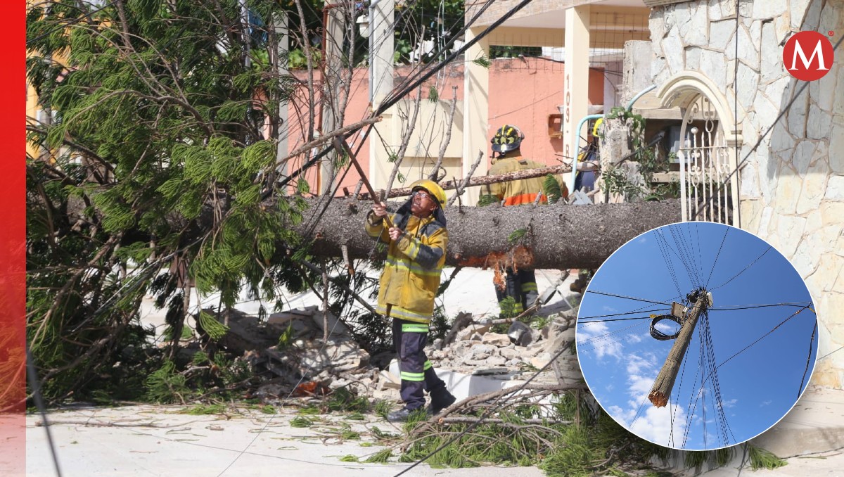 El pino se llevó a su paso un poste de concreto, uno de madera y el tendido eléctrico. (Yazmín Sánchez)