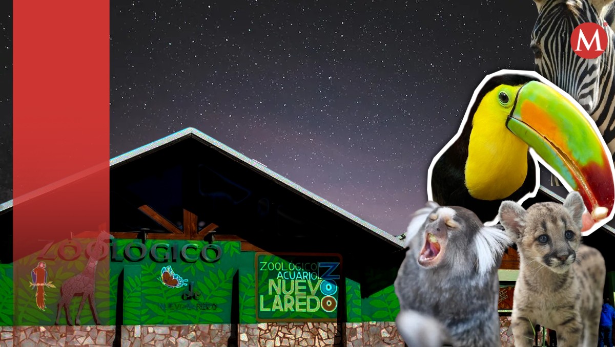 'Zoo Lunada' en Nuevo Laredo. (Especial)